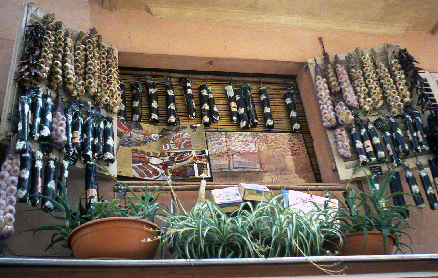 Mallorca, Palma, Spain